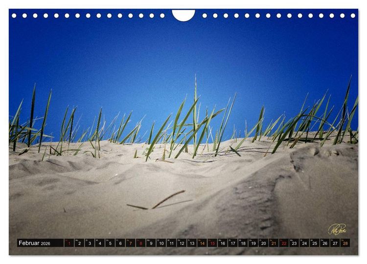 Produktbild: Nordsee-D&uuml;nen (Wandkalender 2026 DIN A4 quer), CALVENDO Monatskalender