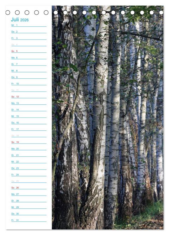 Produktbild: Wunderbarer Spreewald (Tischkalender 2026 DIN A5 hoch), CALVENDO Monatskalender