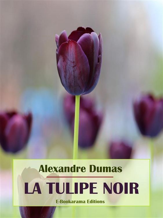 Produktbild: La Tulipe noire
