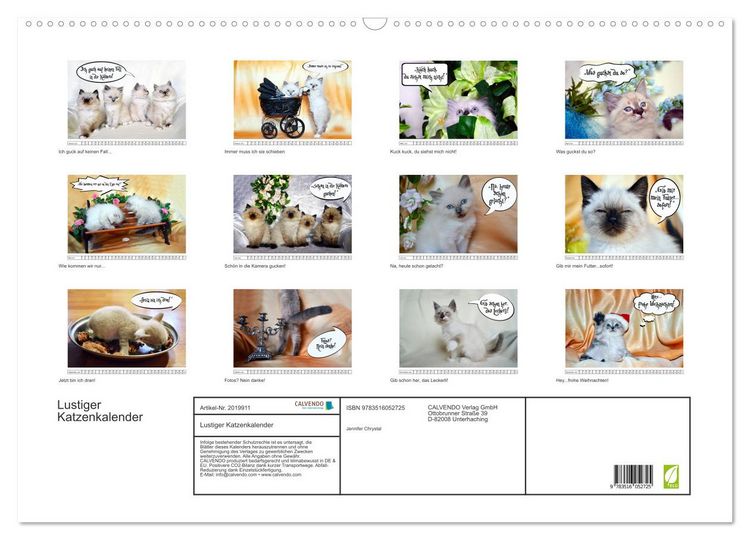 Produktbild: Lustiger Katzenkalender (Wandkalender 2026 DIN A2 quer), CALVENDO Monatskalender