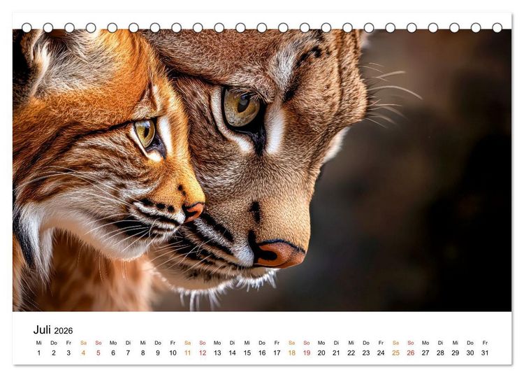 Produktbild: Luchse - die Stimme der Wildnis (Tischkalender 2026 DIN A5 quer), CALVENDO Monatskalender