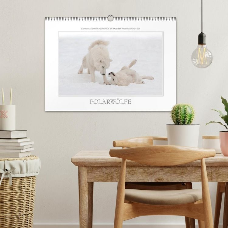 Produktbild: Emotionale Momente: Polarw&ouml;lfe. / CH-Version (Wandkalender 2026 DIN A3 quer), CALVENDO Monatskalender