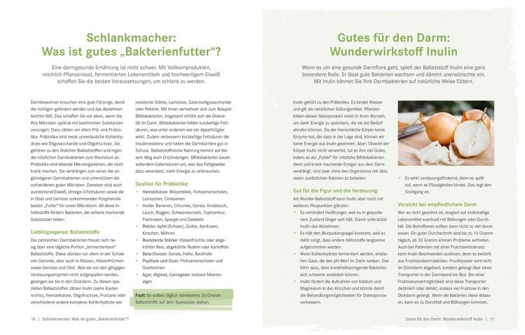 Produktbild: Die Ern&auml;hrungs-Docs  Gesund abnehmen mit der Darm-fit-Formel