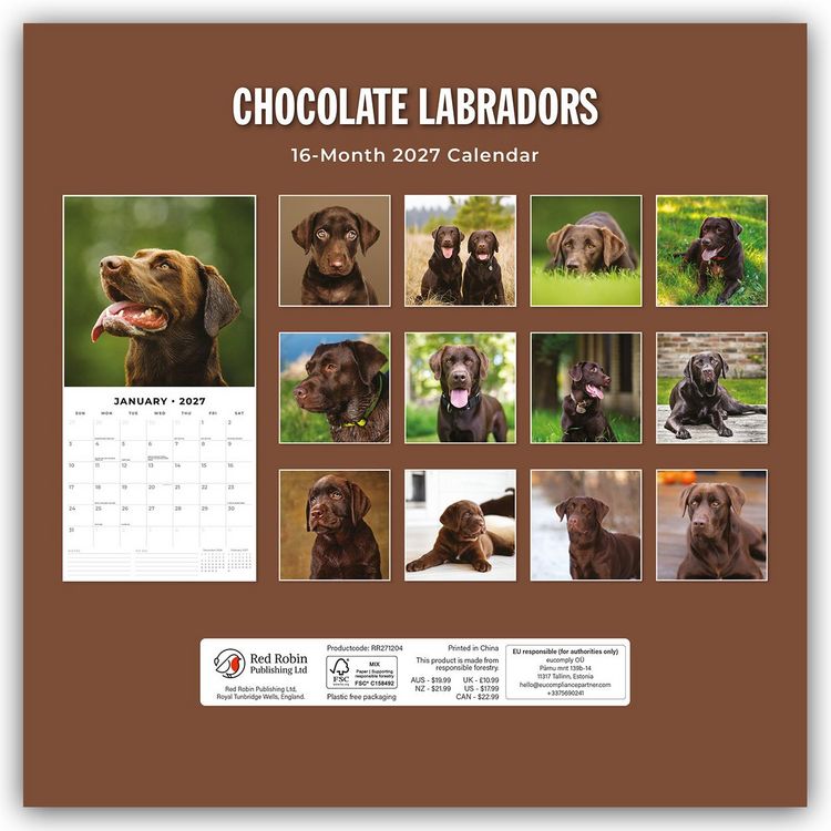 Produktbild: Chocolate Labrador Retrievers &ndash; Schokoladenbraune Labrador Retriever 2027 &ndash; 16-Monatskalender