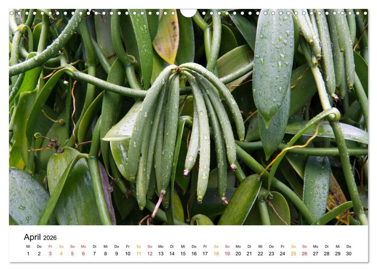 Produktbild: La R&eacute;union - Auf der Insel der Gef&uuml;hle (Wandkalender 2026 DIN A3 quer), CALVENDO Monatskalender