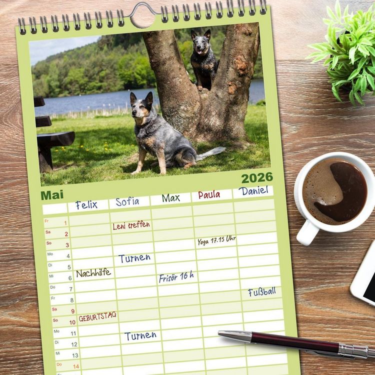 Produktbild: Familienplaner 2026 - Spaziergang am See Australian Cattle Dogs mit 5 Spalten (Wandkalender, 21 x 45 cm) CALVENDO