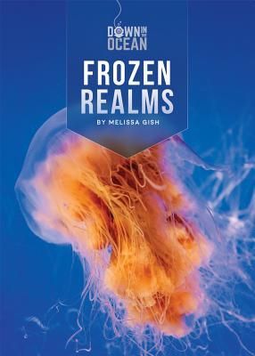 Produktbild: Frozen Realms