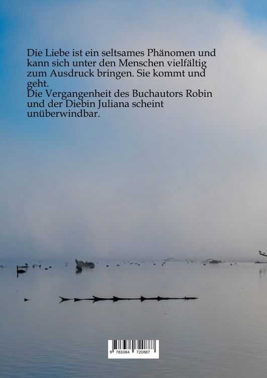 Produktbild: Die Gezeitenfrau