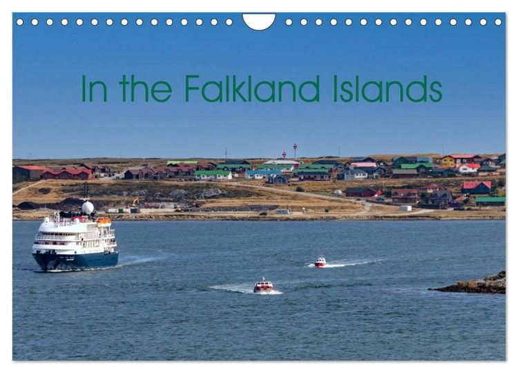 Produktbild: In the Falkland Islands (Wall Calendar 2026 DIN A4 landscape), CALVENDO 12 Month Wall Calendar