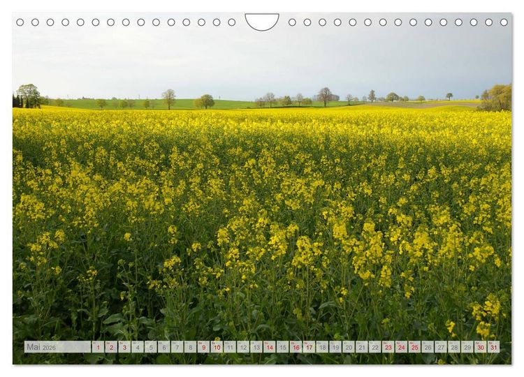 Produktbild: Natur-Paradies Mecklenburgische Schweiz (Wandkalender 2026 DIN A4 quer), CALVENDO Monatskalender