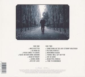 Produktbild: The Accidental (Ltd. CD Digipak)