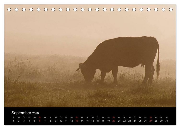 Produktbild: K&uuml;he 2026 (Tischkalender 2026 DIN A5 quer), CALVENDO Monatskalender
