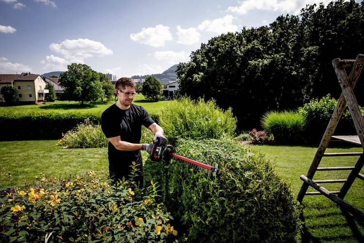 Produktbild: Metabo HS 18 LTX 55 Akku Heckenschere ohne Akku 18V