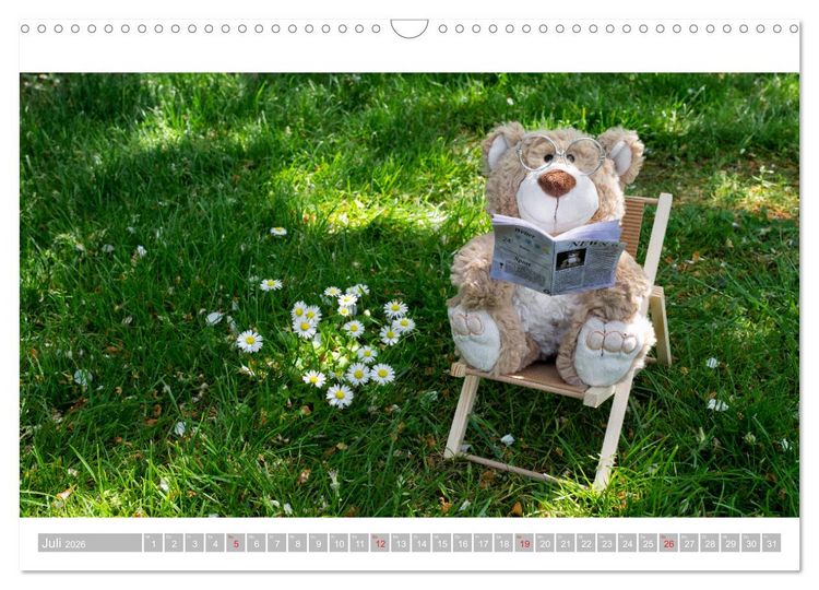 Produktbild: Eddy, der Teddy - 12 Bilder zum Schmunzeln (Wandkalender 2026 DIN A3 quer), CALVENDO Monatskalender