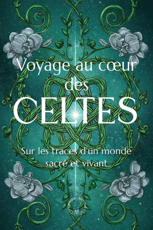 Produktbild: Voyage au coeur des Celtes