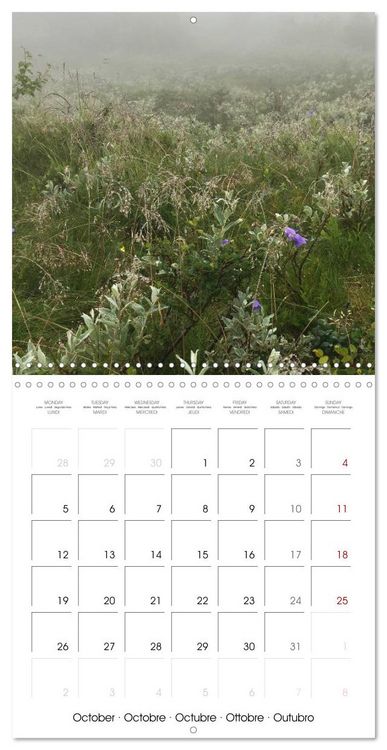 Produktbild: Norway Glory (Wall Calendar 2026 12 &times; 12 Inch) CALVENDO 12 Month Wall Calendar