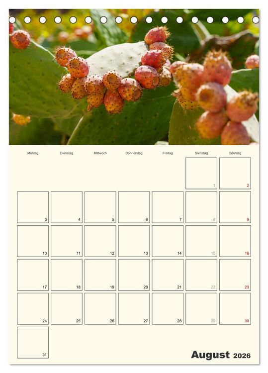 Produktbild: Obst Kalender - GESUND DURCH DAS JAHR (Tischkalender 2026 DIN A5 hoch), CALVENDO Monatskalender