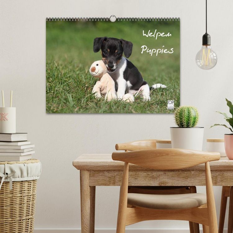 Produktbild: Welpen - Puppies (Wandkalender 2026 DIN A3 quer), CALVENDO Monatskalender