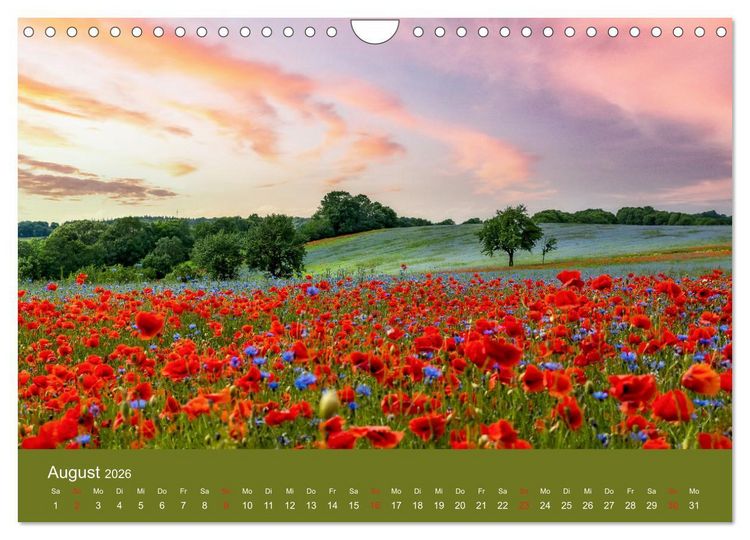 Produktbild: Mohnblumen Romantik (Wandkalender 2026 DIN A4 quer), CALVENDO Monatskalender