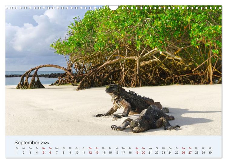 Produktbild: Entdecke Galapagos (Wandkalender 2026 DIN A3 quer), CALVENDO Monatskalender