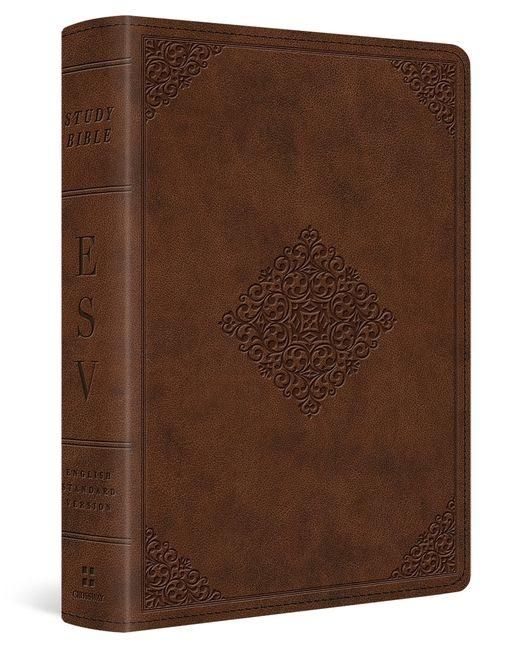 Produktbild: Study Bible-ESV-Personal Size Ornament Design