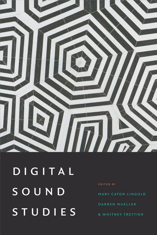 Produktbild: Digital Sound Studies