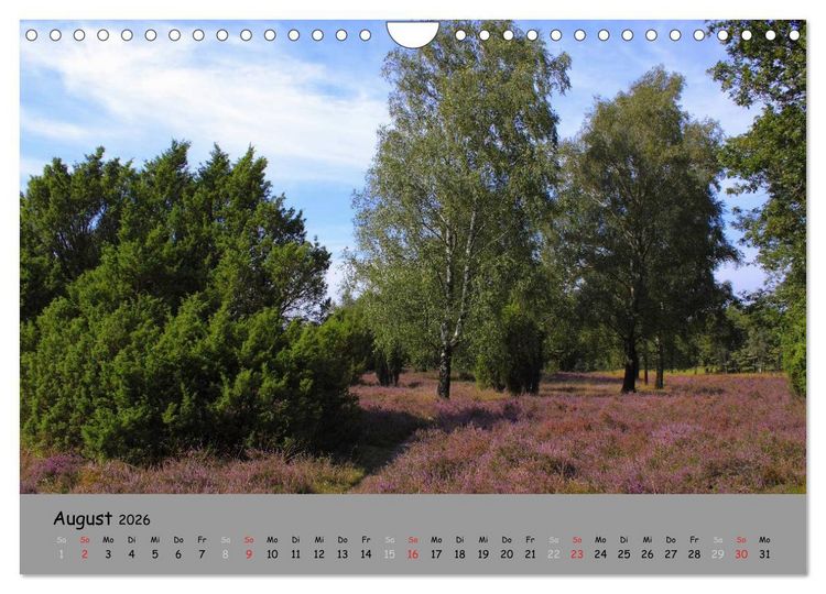 Produktbild: L&uuml;neburger Heide - sch&ouml;n zu jeder Jahreszeit (Wandkalender 2026 DIN A4 quer), CALVENDO Monatskalender