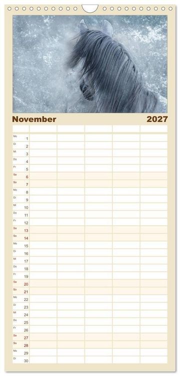 Produktbild: Familienplaner 2027 - Pferde zum Tr&auml;umen mit 5 Spalten (Wandkalender, 21 x 45 cm) CALVENDO