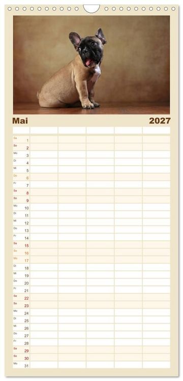 Produktbild: Familienplaner 2027 - Charme auf vier Pfoten - Franz&ouml;sische Bulldoggen Portraits mit 5 Spalten (Wandkalender, 21 x 45 cm) CALVENDO
