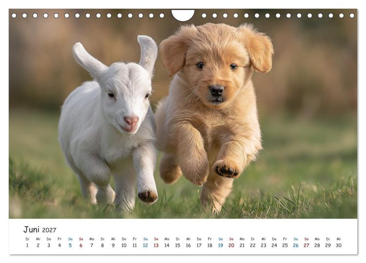 Produktbild: Wenn Tiere Freunde werden (Wandkalender 2027 DIN A4 quer), CALVENDO Monatskalender