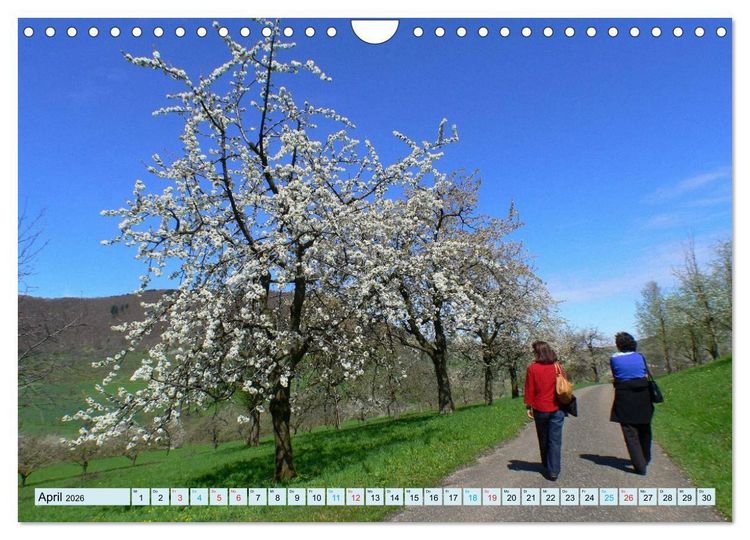 Produktbild: Stimmungsvolle Schw&auml;bische Alb (Wandkalender 2026 DIN A4 quer), CALVENDO Monatskalender