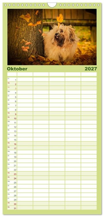Produktbild: Familienplaner 2027 - Havaneser - Wirbelwinde aus Kuba mit 5 Spalten (Wandkalender, 21 x 45 cm) CALVENDO