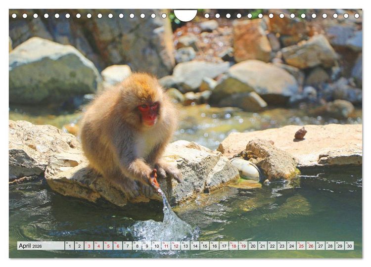 Produktbild: Japan das Land der aufgehenden Sonne (Wandkalender 2026 DIN A4 quer), CALVENDO Monatskalender