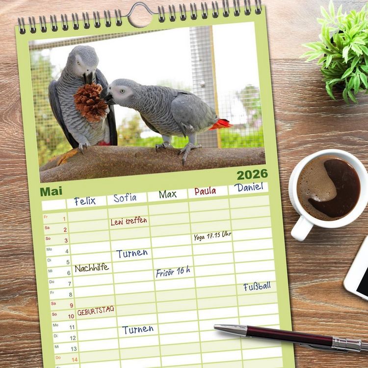 Produktbild: Familienplaner 2026 - Graupapageien zum Verlieben mit 5 Spalten (Wandkalender, 21 x 45 cm) CALVENDO