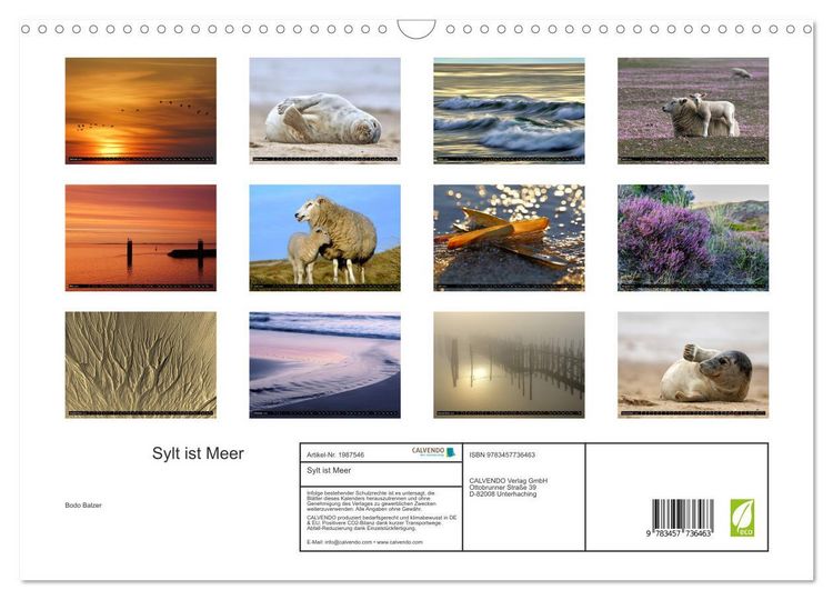 Produktbild: Sylt ist Meer (Wandkalender 2026 DIN A3 quer), CALVENDO Monatskalender