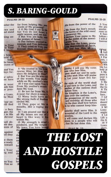 Produktbild: The Lost and Hostile Gospels
