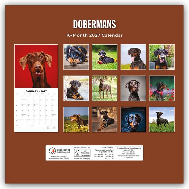 Produktbild: Dobermans &ndash; Dobermann 2027 &ndash; 16-Monatskalender