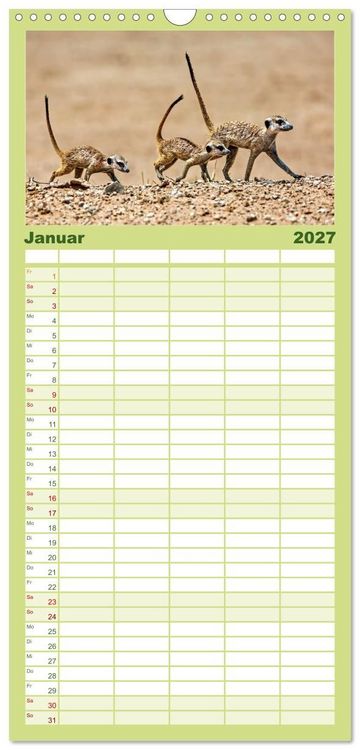 Produktbild: Familienplaner 2027 - Afrikas Tierwelt - Erdm&auml;nnchen mit 5 Spalten (Wandkalender, 21 x 45 cm) CALVENDO