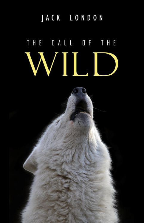 Produktbild: Call of the Wild