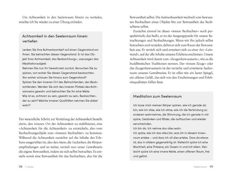 Produktbild: Die Seele des Psychotherapeuten