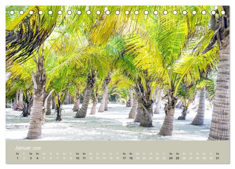 Produktbild: Mexiko - ein traumhaftes Paradies (Tischkalender 2026 DIN A5 quer), CALVENDO Monatskalender