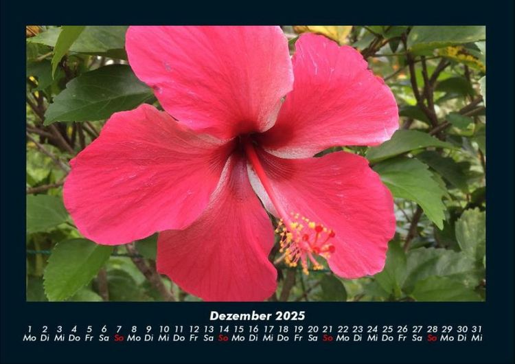 Produktbild: Fernweh 2025 Fotokalender DIN A4