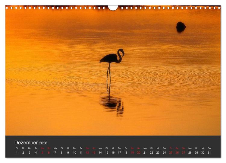 Produktbild: Pretty Flamingo (Wandkalender 2026 DIN A3 quer), CALVENDO Monatskalender