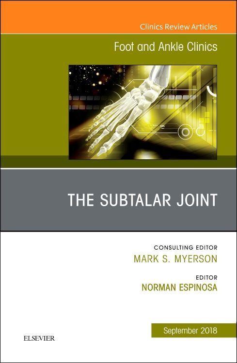 Produktbild: The Subtalar Joint, an Issue of Foot and Ankle Clinics of North America