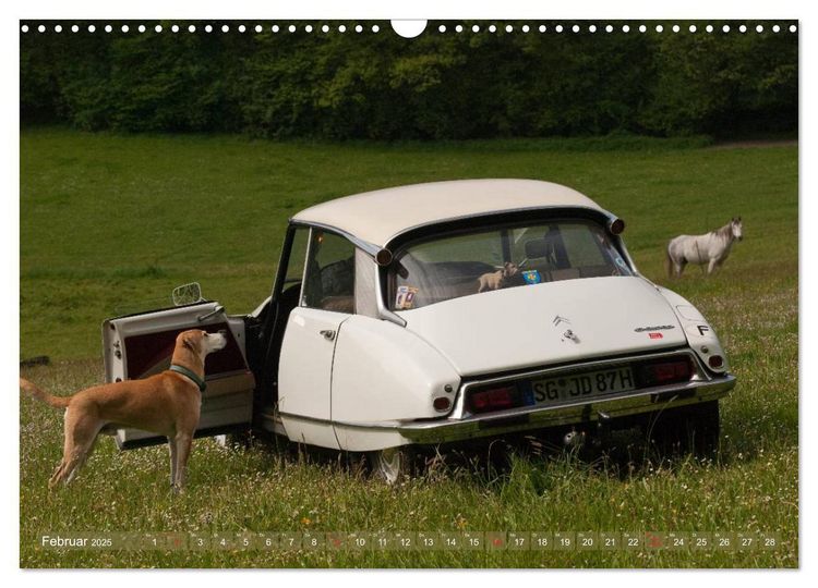 Produktbild: Citro&euml;n DS - G&ouml;ttin in wei&szlig; (Wandkalender 2025 DIN A3 quer), CALVENDO Monatskalender