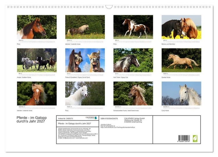 Produktbild: Pferde - im Galopp durch's Jahr 2027 (Wandkalender 2027 DIN A2 quer), CALVENDO Monatskalender