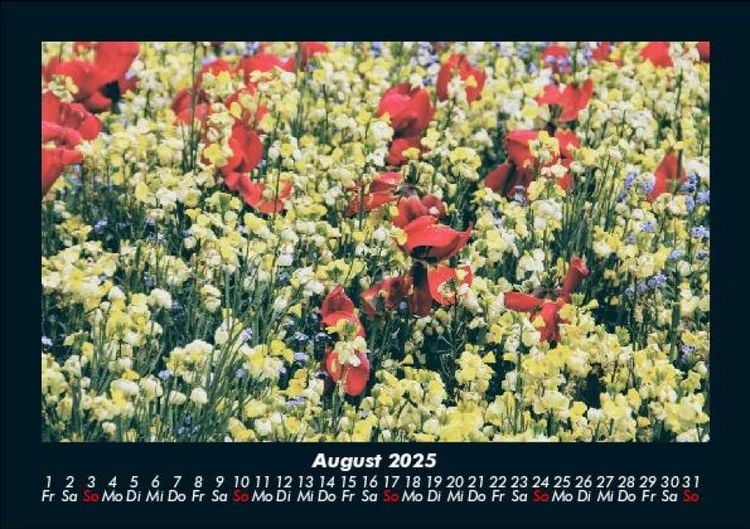 Produktbild: Blumentr&auml;ume 2025 Fotokalender DIN A5