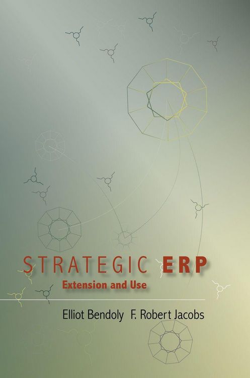 Produktbild: Strategic Erp Extension and Use