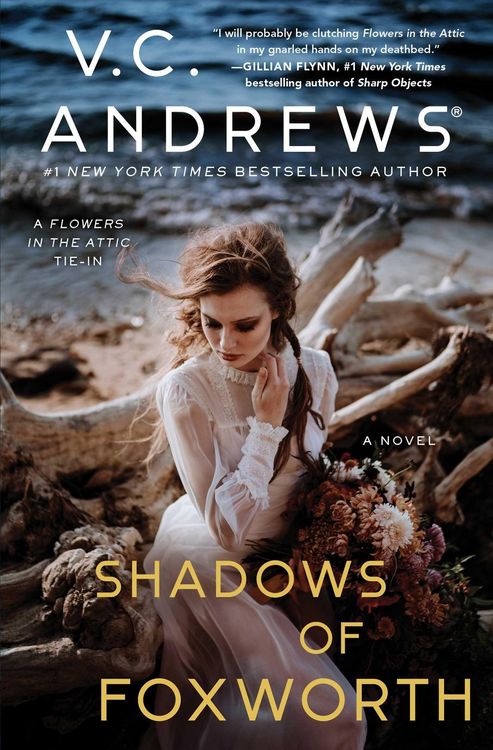 Produktbild: Shadows of Foxworth