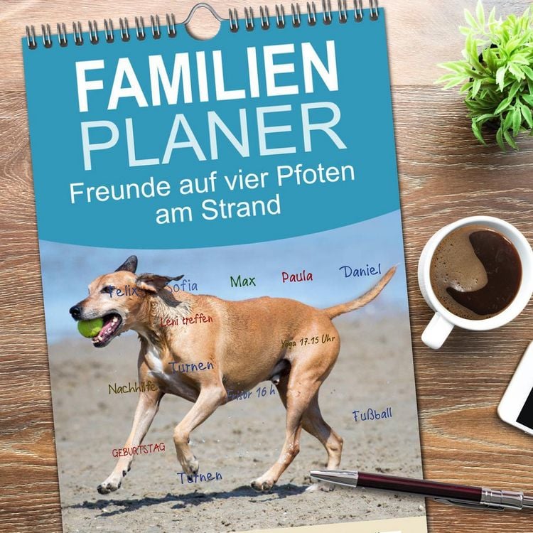 Produktbild: Familienplaner 2026 - Freunde auf vier Pfoten am Strand mit 5 Spalten (Wandkalender, 21 x 45 cm) CALVENDO